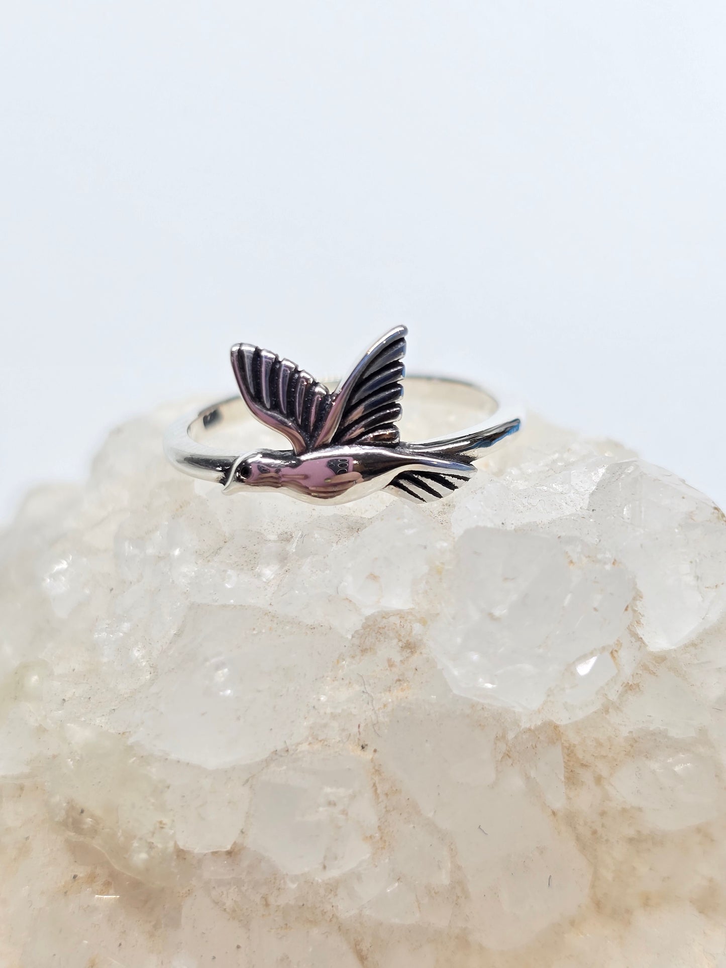 Hummingbird band
