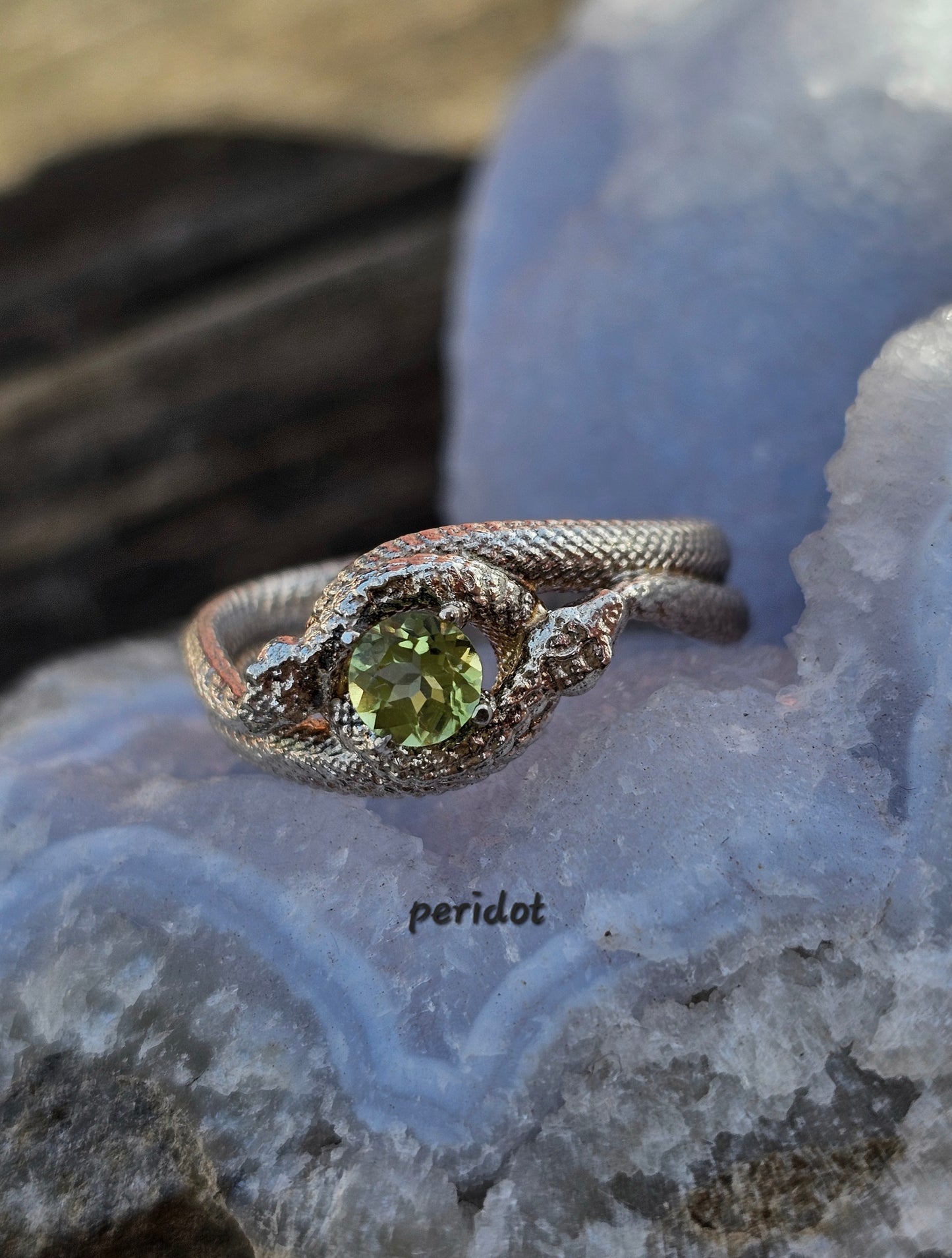 Ouroboros snake band