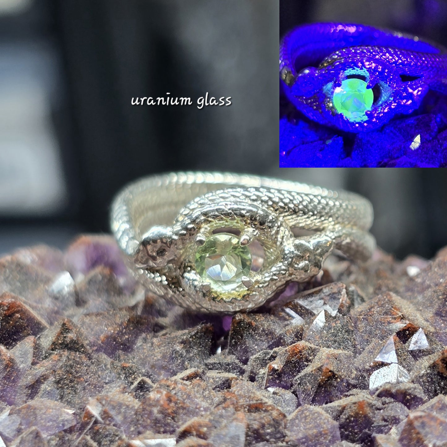 Ouroboros snake band