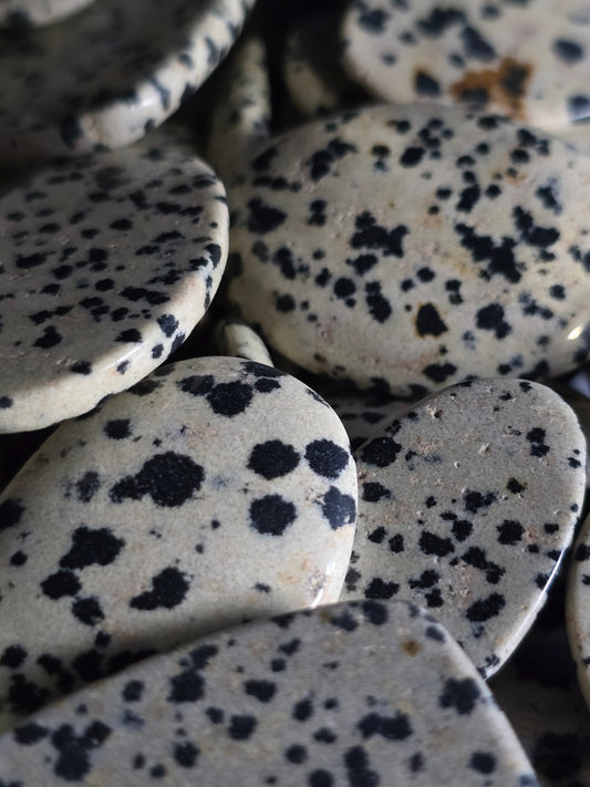 Dalmation jasper
