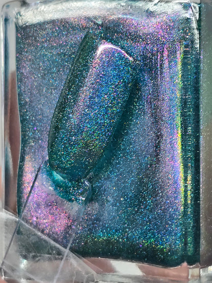Tampered with Teal Lg