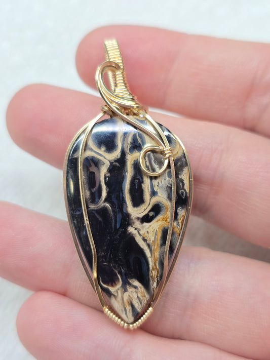 Palm root agate in 14kt gold filled
